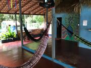 REDÁRIO Botos de Alter