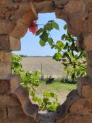 Mandre-Chiggiato, Sesta Presa