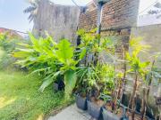 Top Cochin