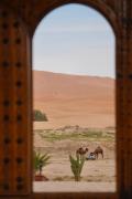 Top Merzouga