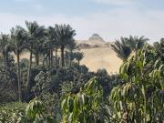 Ancient Backyard Guesthouse