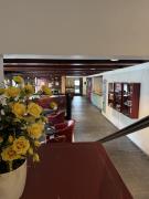 Top Hahnenklee-Bockswiese