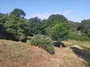 Top Minzac