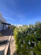 Balena blu home luxury