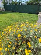 Çeşme-Reisdere, 5 1 Private Pool, Villa