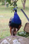 Top Swellendam