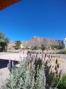 El Aromo Cafayate