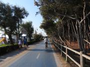Top Alba Adriatica