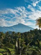 Top Tetebatu