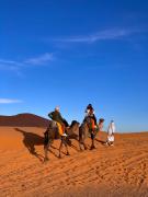 Top Merzouga