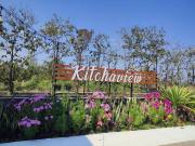Top Chiang Rai