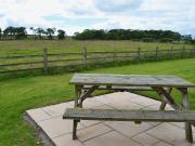 Top Belford