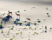 Chimgees Guesthouse & Gobi Tours