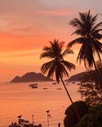 Top Ko Tao