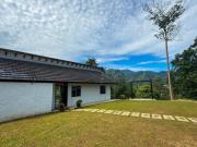 Top Bentong