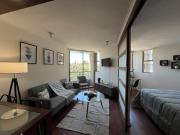 View of Santa Lucia, pool and Lastarria Connection