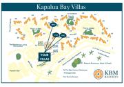 Kapalua Bay Villas 3 Free Rental Cars KBM Resorts 180 Degree views 3 Units 5 Bedrooms ML-2032