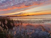 Top Saintes-Maries-de-la-Mer