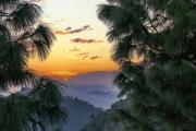 Top Kasauli