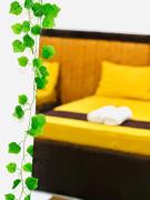 Dreamy Homestay