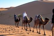 Top Merzouga