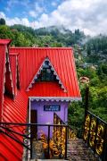 Top Darjeeling