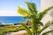Top Paphos City