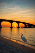 Top Fort Myers Beach