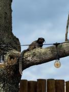 Casa grande na beira da praia do Campeche