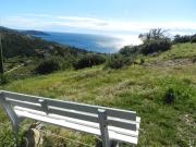 2 pièces avec terrasse et parking au Lavandou - FR-1-251-926