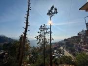 Top Shimla