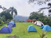 Top Paragajen