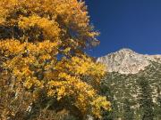 Top South Lake Tahoe