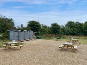 Oxeye Daisy - Uk51172