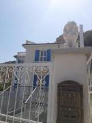Top Noli