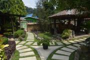 Top Bukit Lawang Top Bukit Lawang