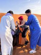 Top Merzouga Top Merzouga
