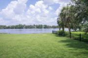 Top Tampa