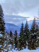 Top Campi