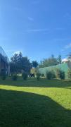 Top Tandil