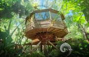 Spiral Living Bridge - Hanging House, Natural Design