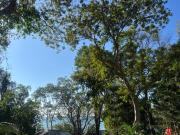 Top Rayong