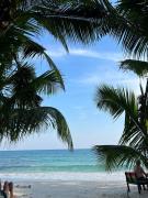 Top Rayong