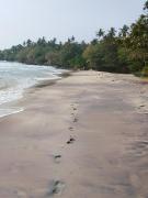 Binu Home stay