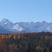 Top Jurgów