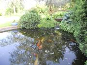 Top Saint-Denis-lès-Martel