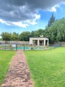 Top Benoni Top Benoni