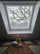 Top Neustadt am Rübenberge