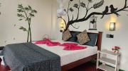 Elysium Homestay Ella