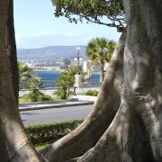 Top Reggio di Calabria